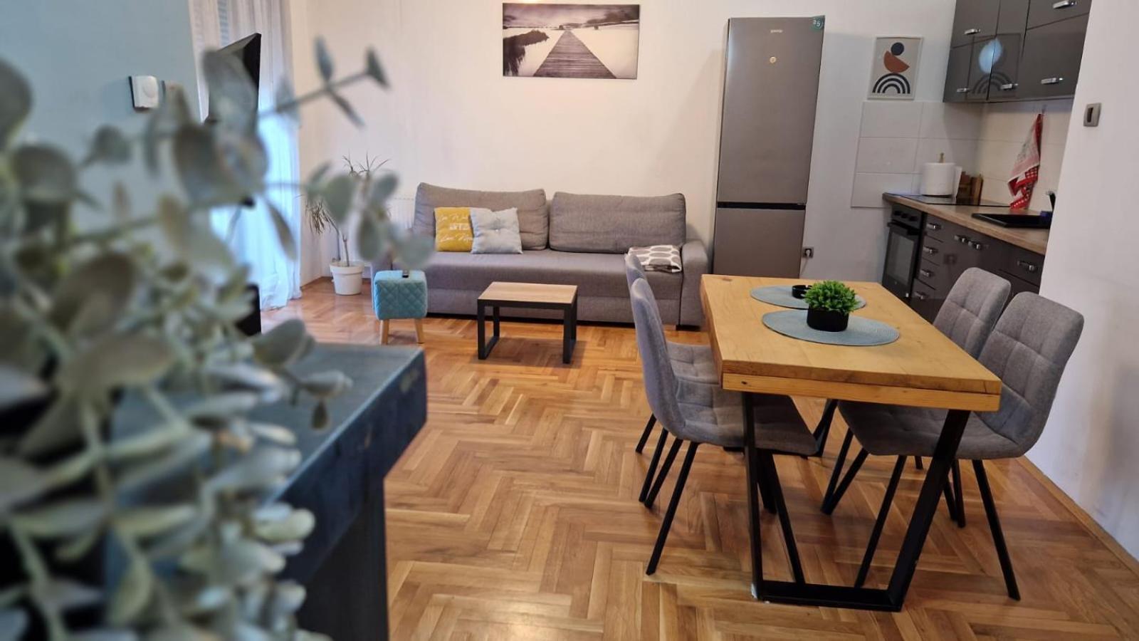 Apartment Luki نوفي ساد المظهر الخارجي الصورة